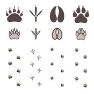 Paw Print N19