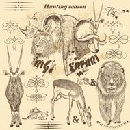 Collection of vector African safari animals and calligraphic el N2