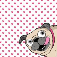 Pug N8