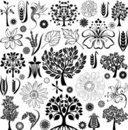 Trees and plants N13