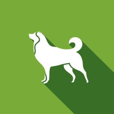 Husky dog icon Vector Illustration