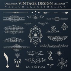 Vector vintage set Calligraphic elements and page decoration pr