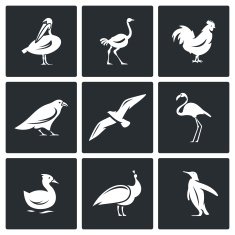 Birds icons set Vector Illustration