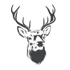 Deer Head N17