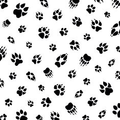 Animal footprint pattern N3