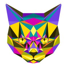 Abstract bright motley colored polygonal triangle geometric angry cat