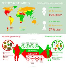 Infographics obesity in the world into flat style N2