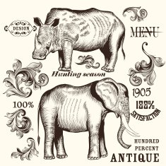 Collection of hand drawn animals and swirls for design