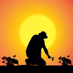Vector silhouette of a gardener N108