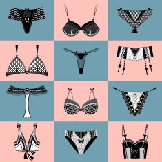 Set of woman lingerie bra and pants N2