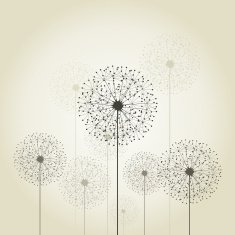Flower a dandelion N2