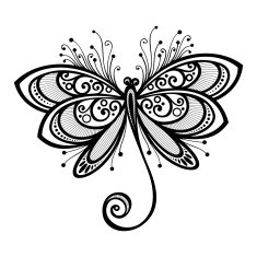 Vector Beautiful Dragonfly Exotic Insect N4