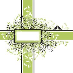Vintage Floral Frame N42