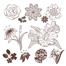 Set of flowers N28
