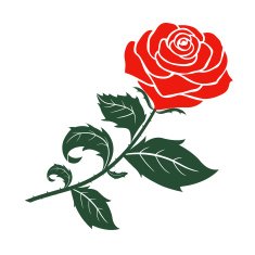 red rose vector design