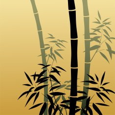 Bamboo Background N19