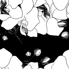 seamless pattern with black and white vector background - orchids