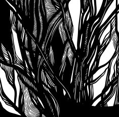 abstract pattern of tree branches N2