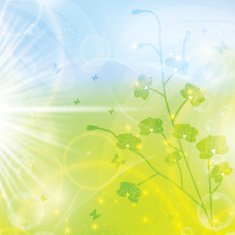Abstract spring floral background N11