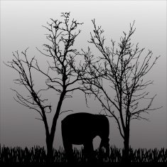 Vector silhouette of elephant N2