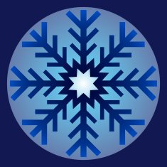 Snowflake Ornament N2