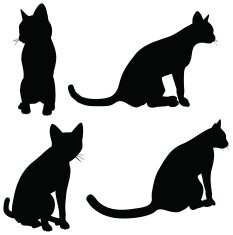 Cats collection - vector silhouette N12