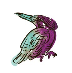 Vector sketch of bird watercolor N10