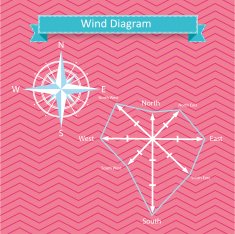 wind rose diagram and compass vector