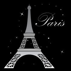 Eiffel Tower Night Landscape