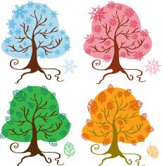 Seasons tree N2