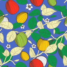fruits background N22