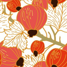 fruits background N24