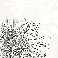 Monochrome invitation or greeting card with chrysanthemum N2