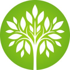 Green tree icon II