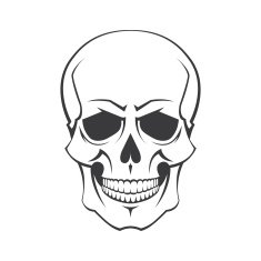 Skull symbol N3