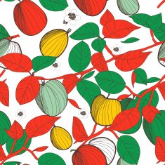 fruits background N33