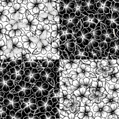 set of Beautiful black-and-white seamless background with flowers and leaves N2