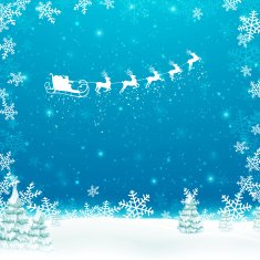 Vector Christmas Design N8