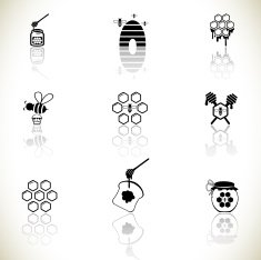 Bee and honey icons