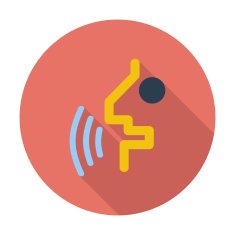 Voice recognition button N4