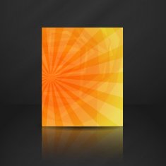 Summer Orange Banner