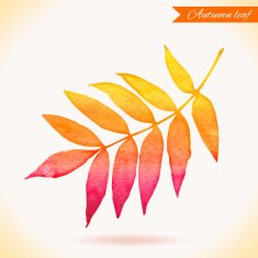 Watercolor colorful vector leaf Vector illustration N4