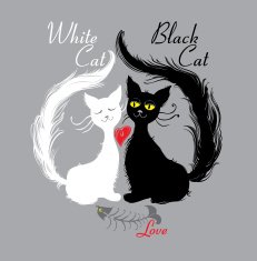 White cat black cat love N2