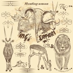 Collection of vector African safari animals and calligraphic el N2