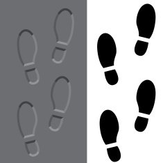 Shoe Print N9
