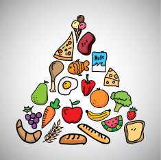 nutrition Vector