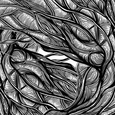 night tree fear