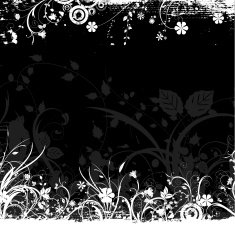 floral grunge N21