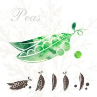 Peas icons set