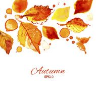Autumn watercolor top oriented decorative illustration